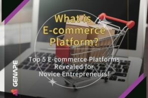 what is E-commerce platform